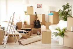 Organiser le déménagement d'un appartement facilement  